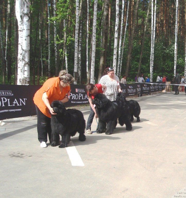 Фотография № 126842