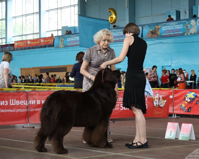 Фотография № 126910