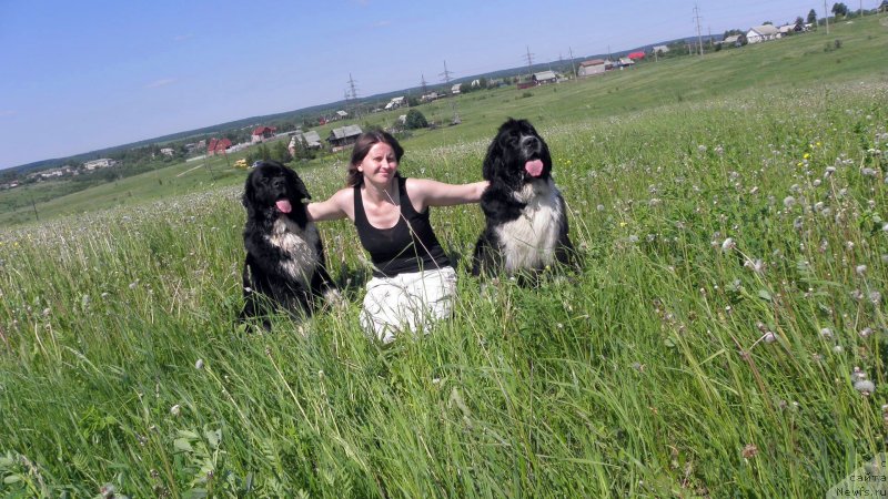 Фотография № 126935