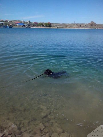 Фотография № 126937