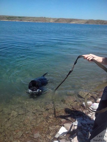 Фотография № 126938