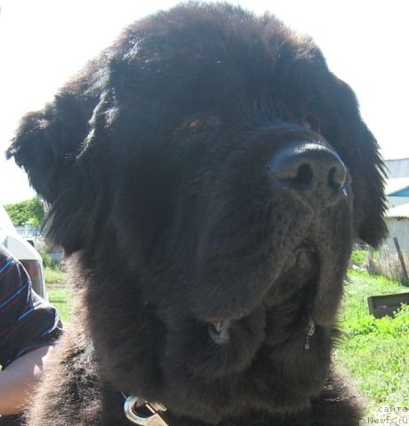 Фотография № 126939