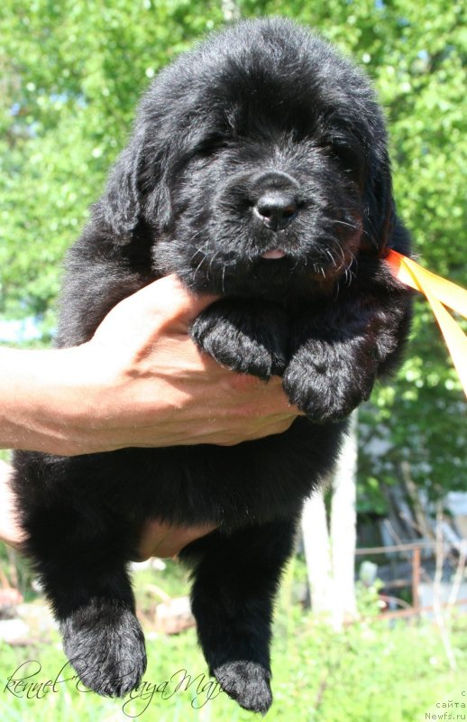 Фотография № 126961