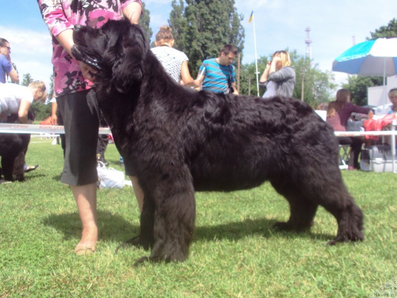 Фотография № 126997