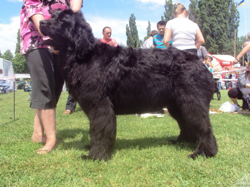 Фотография № 126998