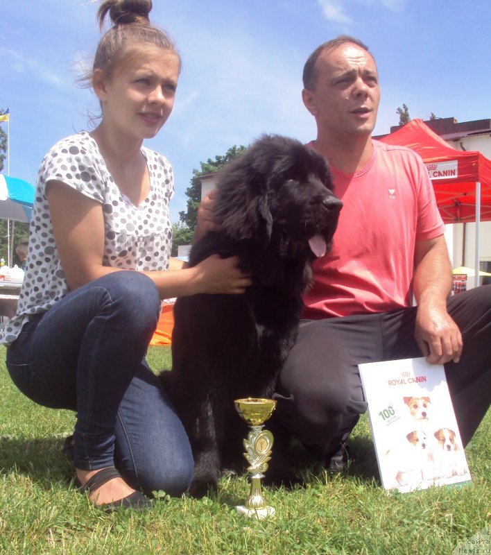 Фотография № 127001