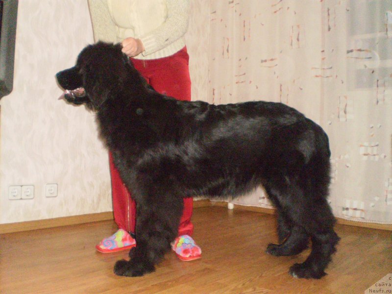 Фотография № 127008