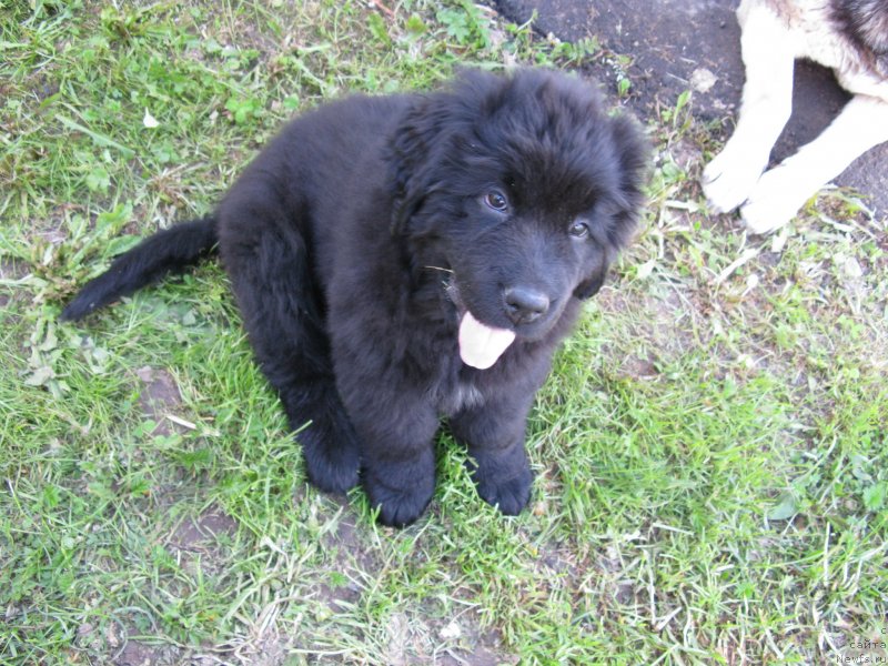 Фото: Aleksandr Birin (Александр Бирин)