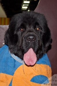 Фото: Беня-одессит