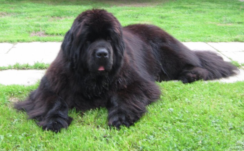 Фотография № 127038