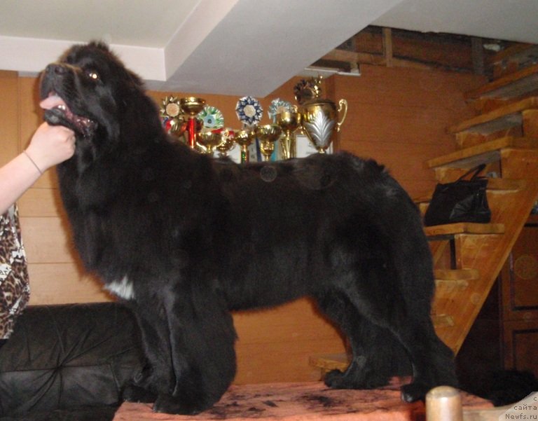 Фотография № 127125