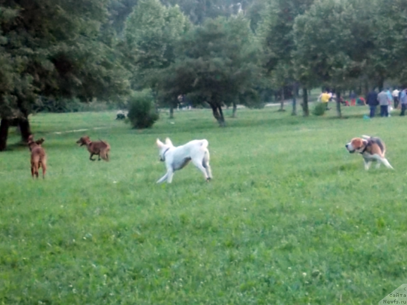 Фотография № 127142