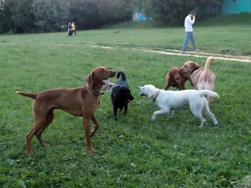 Фотография № 127143