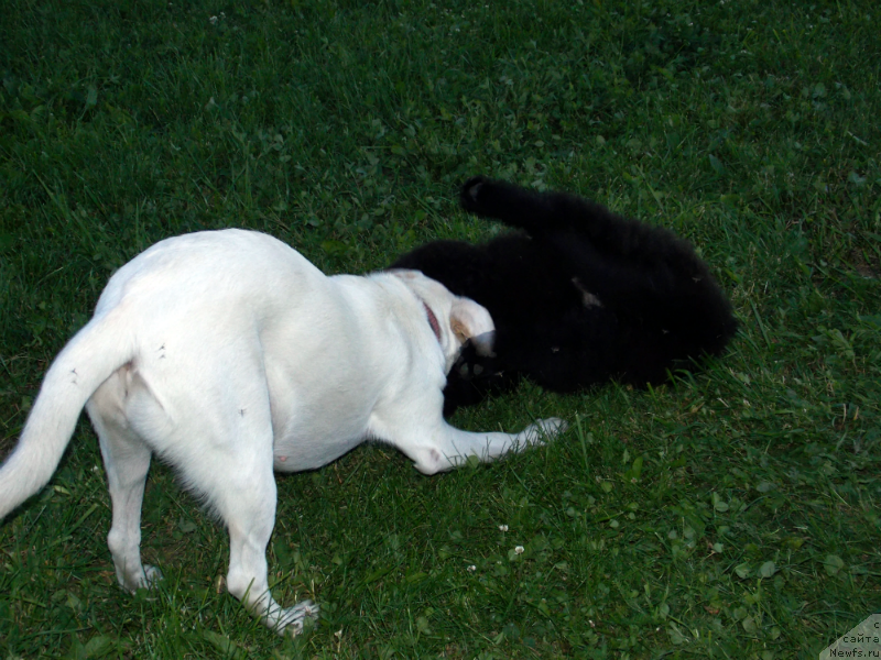 Фотография № 127146