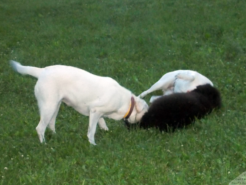 Фотография № 127148