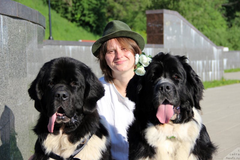 Фото: Alla Tuzkova (Алла Тузкова), ньюфаундленд Pitern'yuf Jelannaya Moya (Питерньюф Желанная Моя), ньюфаундленд Starbimovlav Gardemarin (Старбимовлав Гардемарин)