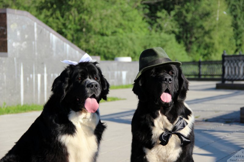 Фотография № 127167