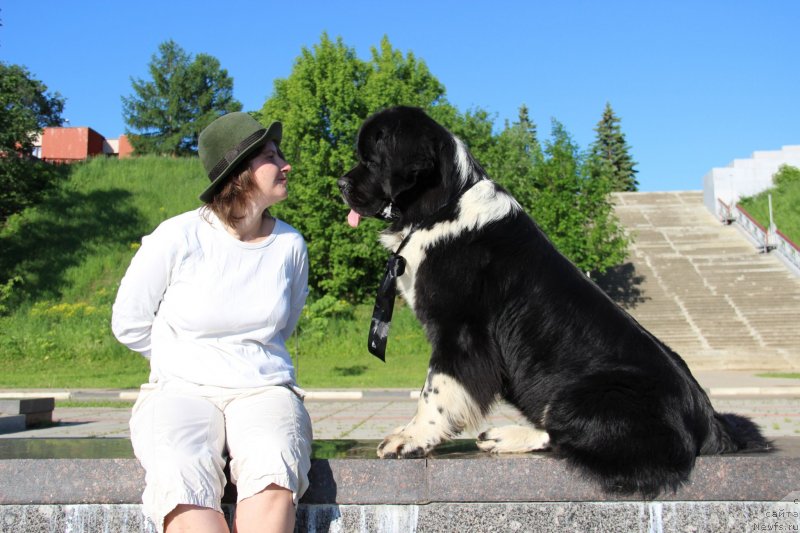 Фото: Alla Tuzkova (Алла Тузкова), ньюфаундленд Starbimovlav Gardemarin (Старбимовлав Гардемарин)