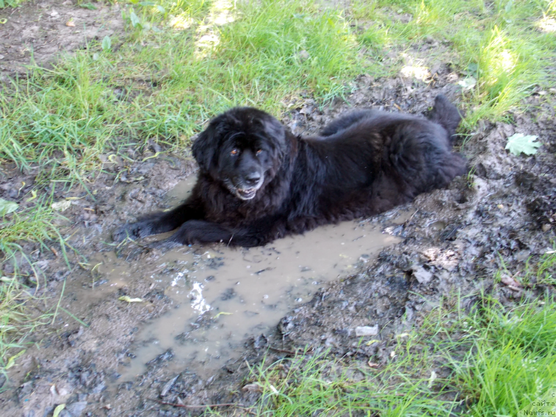 Фотография № 127221