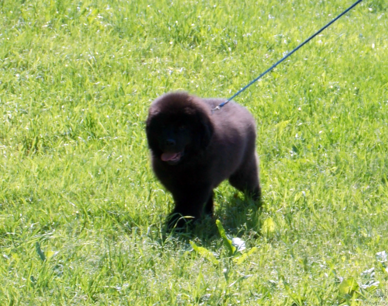 Фотография № 127222