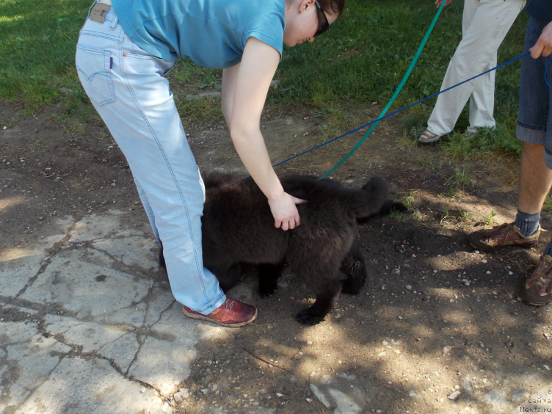 Фотография № 127223