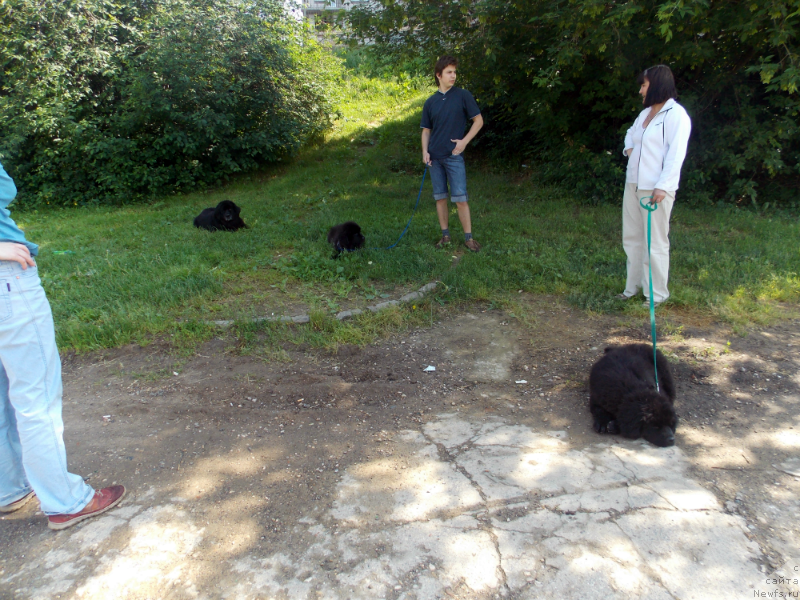 Фотография № 127224