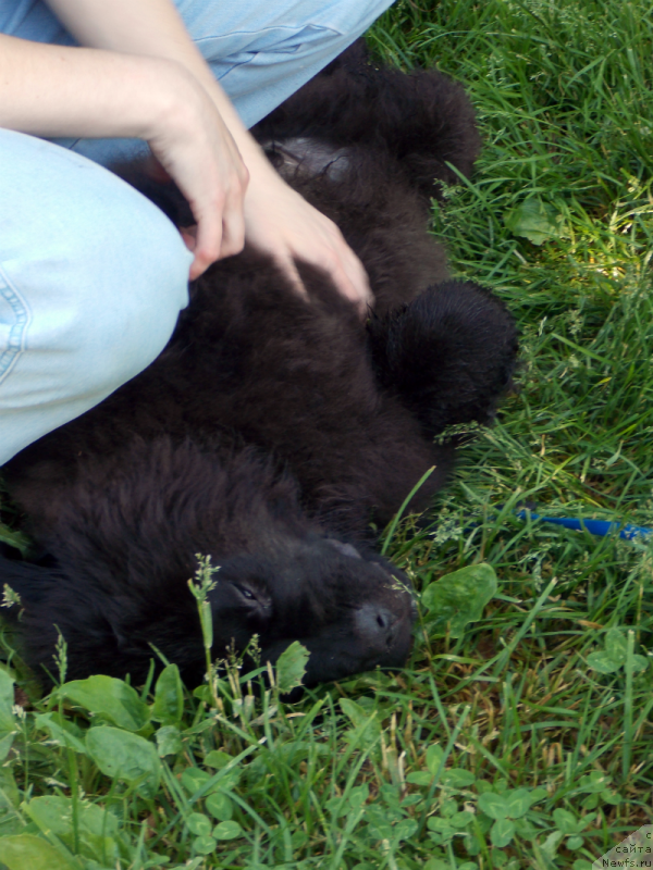 Фотография № 127225