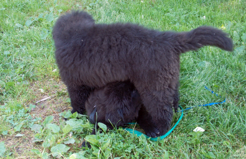 Фотография № 127226