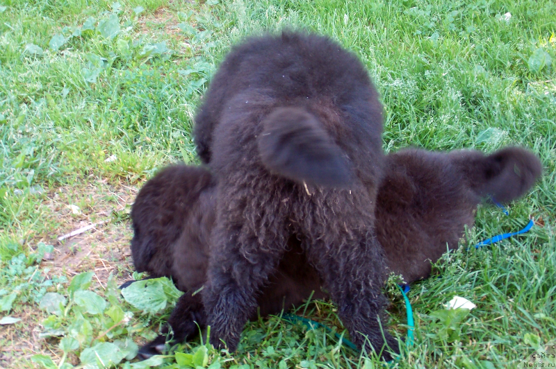 Фотография № 127228