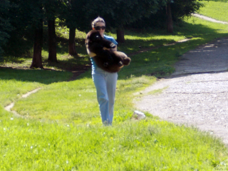 Фотография № 127231