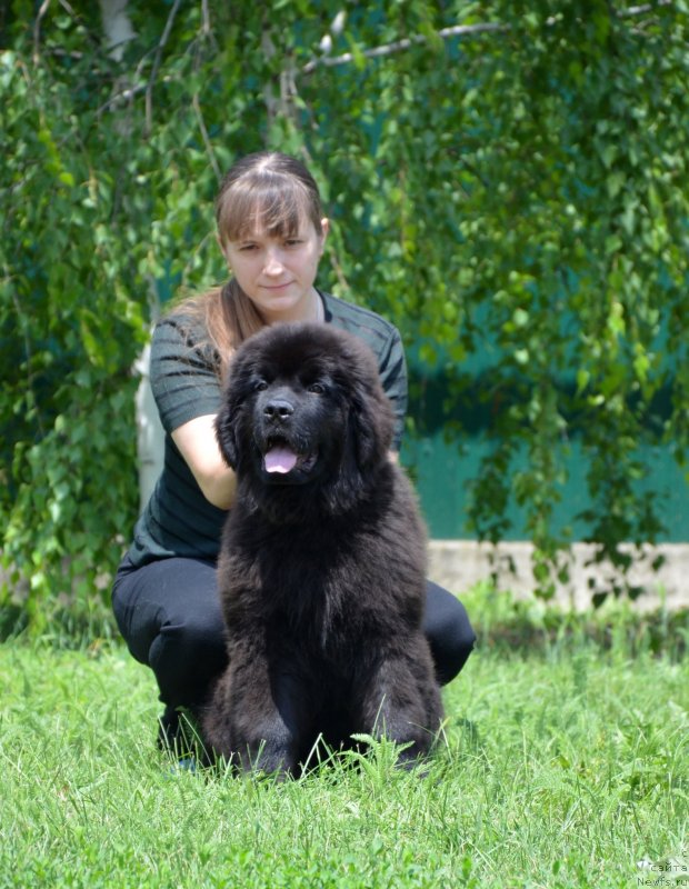 Фотография № 127325