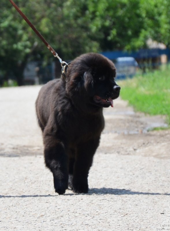 Фотография № 127327