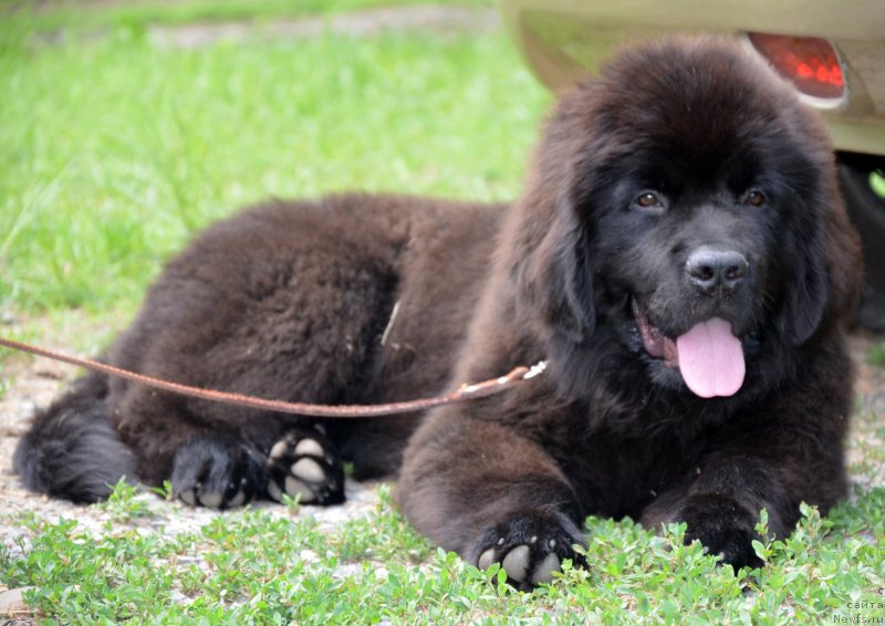 Фотография № 127330