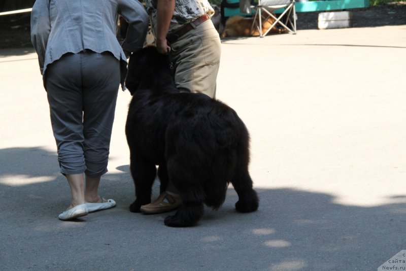 Фотография № 127472