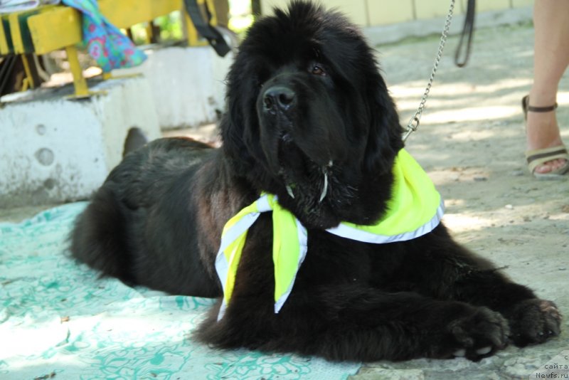 Фотография № 127473