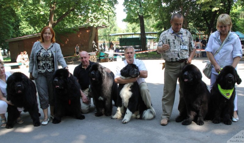 Фотография № 127475