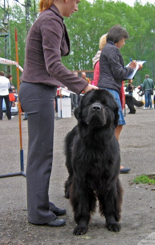 Фотография № 127509