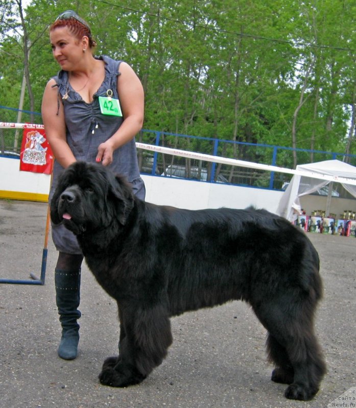 Фотография № 127511