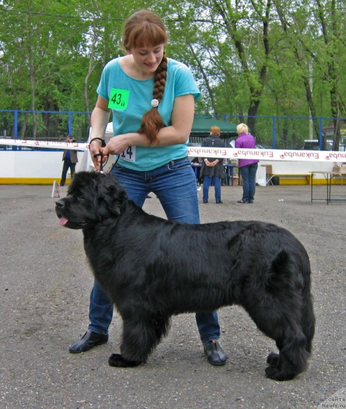 Фотография № 127513