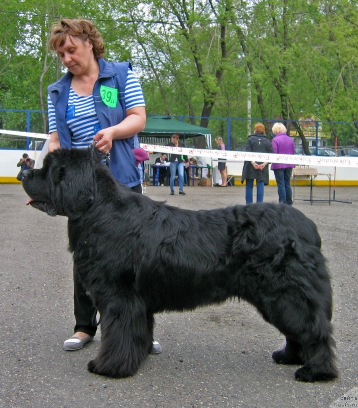 Фотография № 127514