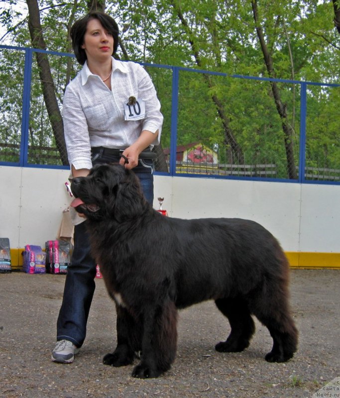 Фотография № 127533