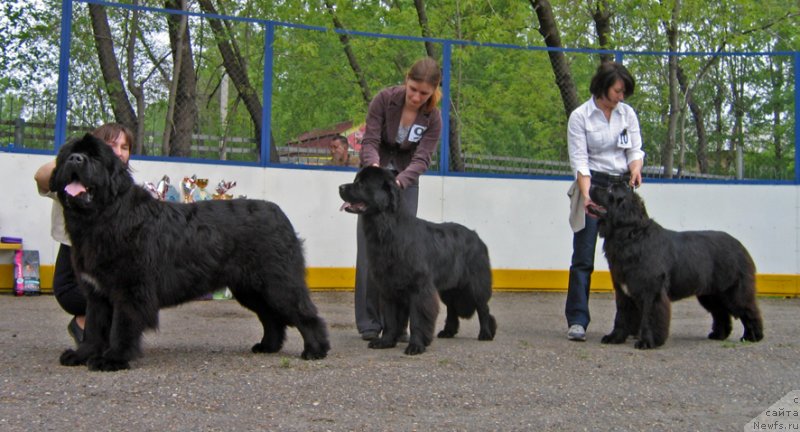 Фотография № 127534