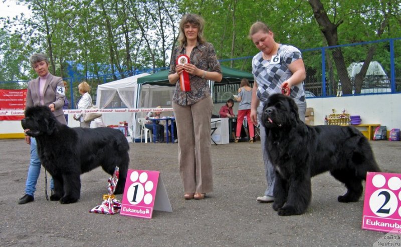 Фотография № 127550