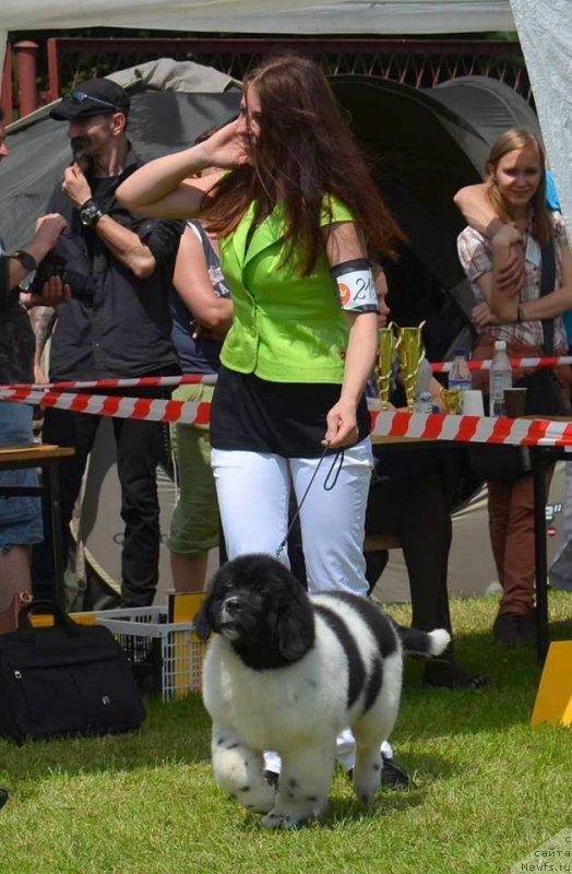 Фотография № 127556