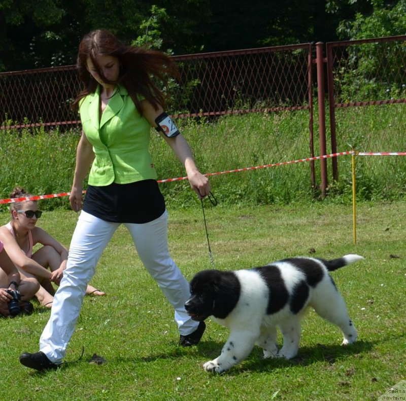 Фотография № 127559