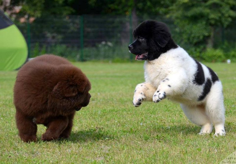 Фотография № 127560