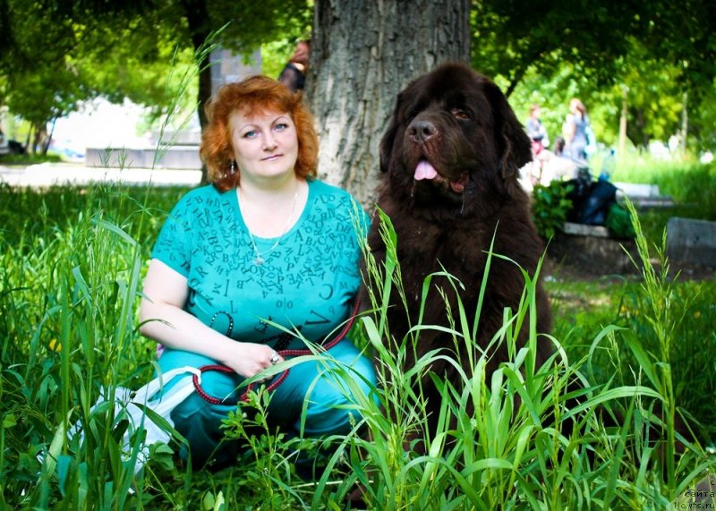 Фото: ньюфаундленд CHernyiy SHarm Amber Best Dog FO Marleon (Черный Шарм Амбер Бест Дог ФО Марлеон), Tat'yana SHayduk (Татьяна Шайдук)