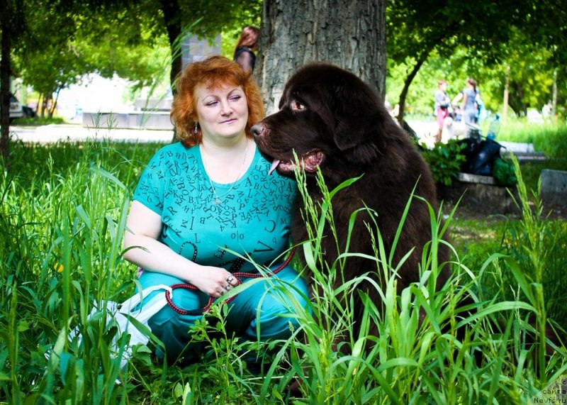 Фото: ньюфаундленд CHernyiy SHarm Amber Best Dog FO Marleon (Черный Шарм Амбер Бест Дог ФО Марлеон), Tat'yana SHayduk (Татьяна Шайдук)