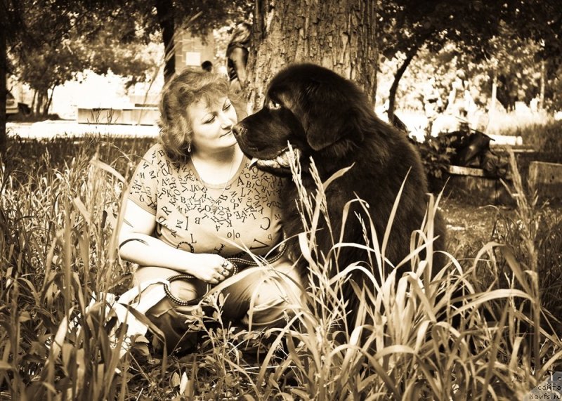 Фотография № 127608