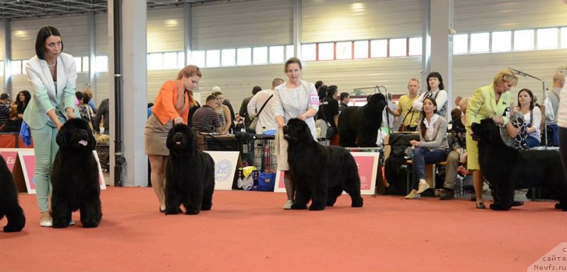 Фотография № 127609